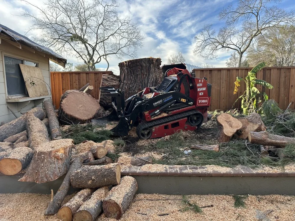 Hazard Tree Removal