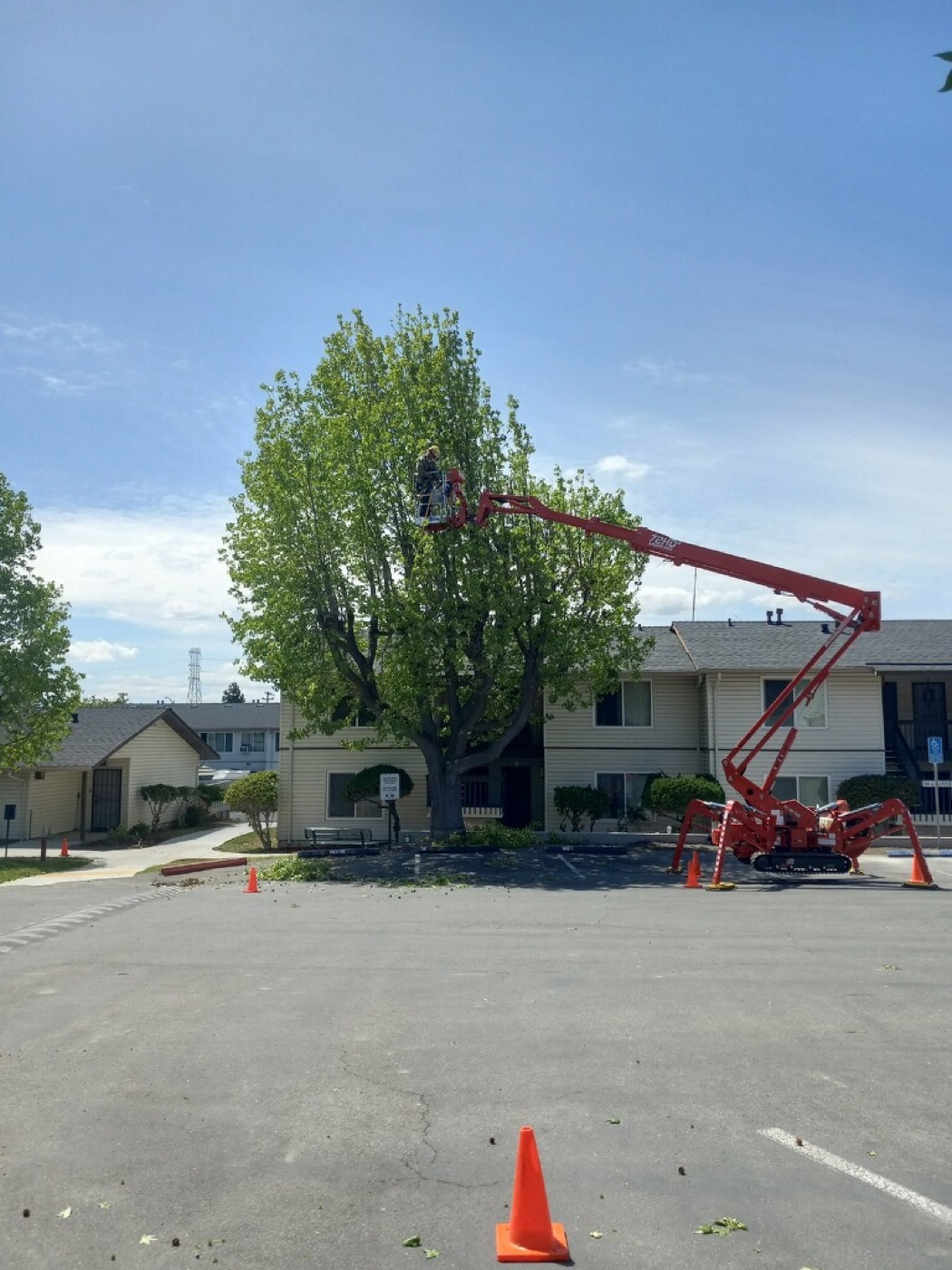 Tree Pruning